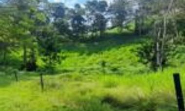 Vendo Finca Ganadera y Aguacatera San Vicente de Chucuri