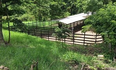 Vendo Finca Ganadera y Aguacatera San Vicente de Chucuri