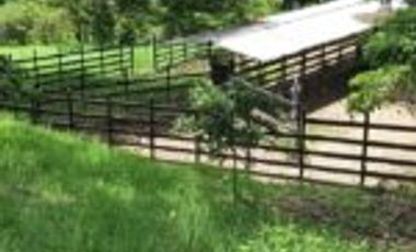 Vendo Finca Ganadera y Aguacatera San Vicente de Chucuri