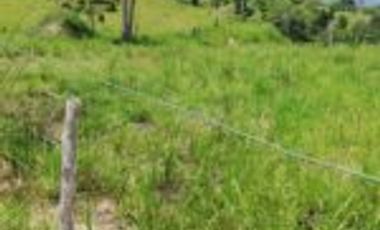 Vendo Finca Ganadera y Aguacatera San Vicente de Chucuri