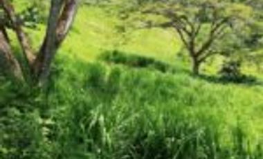 Vendo Finca Ganadera y Aguacatera San Vicente de Chucuri