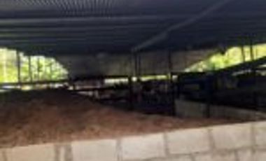 Vendo Finca Ganadera Sabana de Torres Santander