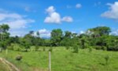 Vendo Finca Ganadera Sabana de Torres Santander