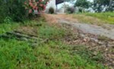 Vendo Finca Ganadera Sabana de Torres Santander