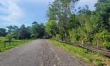 Vendo Finca Ganadera Sabana de Torres Santander