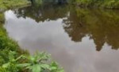 Vendo Finca Ganadera Sabana de Torres Santander