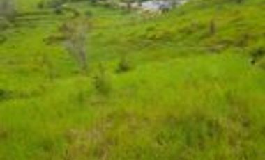 Vendo Finca Ganadera Sabana de Torres Santander