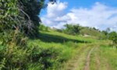 Vendo Finca Ganadera Sabana de Torres Santander