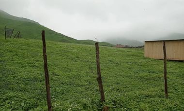 Terreno en Venta Pachacamac