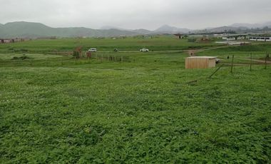 Terreno en Venta Pachacamac