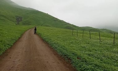 Terreno en Venta Pachacamac
