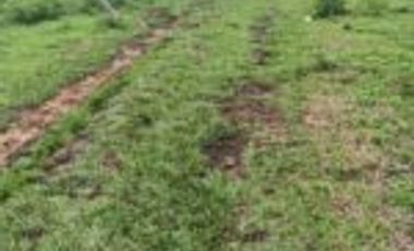 Vendo Finca Lebrija Santader