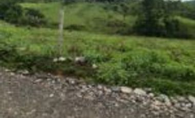 Vendo Finca Lebrija Santader