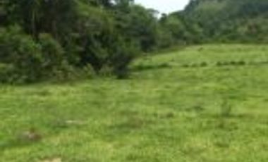 Vendo Finca Lebrija Santader