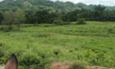 Vendo Finca Lebrija Santader