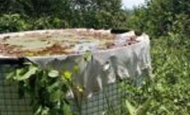 Vendo Finca Lebrija Santader