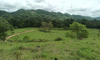 Vendo Finca Lebrija Santader