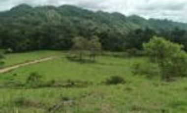 Vendo Finca Lebrija Santader