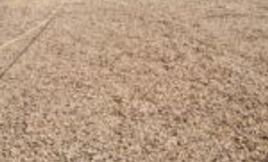 Vendo Finca San Vicente de Chucurí  Santander