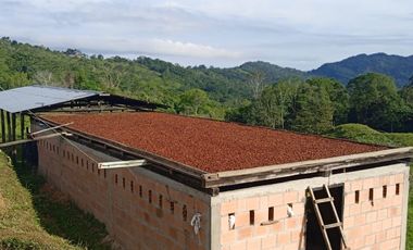 Vendo Finca Vicente de chucuri Santander