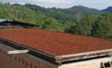 Vendo Finca Vicente de chucuri Santander