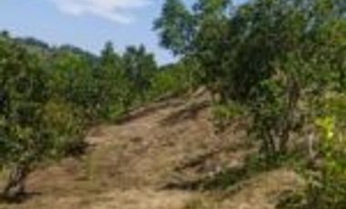 Vendo Finca Vicente de chucuri Santander