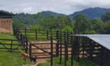 Vendo Finca Vicente de chucuri Santander