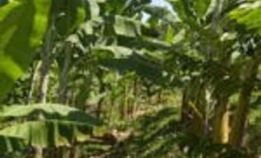 Vendo Finca Vicente de chucuri Santander