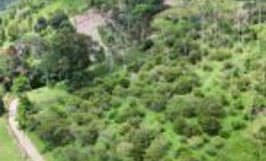 Vendo Finca San Vicente de Chucurí Santander