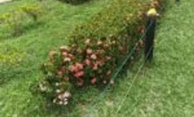 Vendo Finca San Vicente de Chucurí Santander