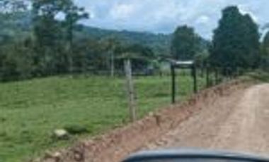 Vendo Finca San Vicente de Chucurí Santander