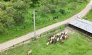 Vendo Finca San Vicente de Chucurí Santander