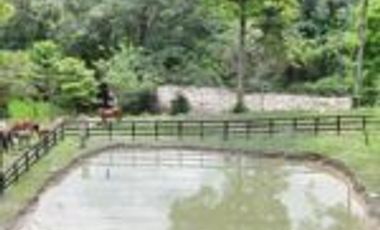 Vendo Finca San Vicente de Chucurí Santander