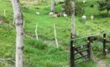 Vendo Finca San Vicente de Chucurí Santander