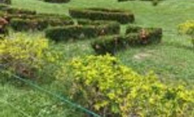 Vendo Finca San Vicente de Chucurí Santander