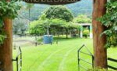 Vendo Finca San Vicente de Chucurí Santander