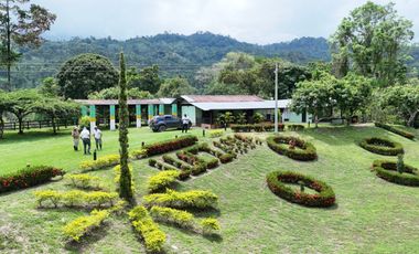 Vendo Finca San Vicente de Chucurí Santander