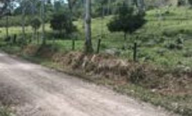 Vendo Finca San Vicente de Chucurí Santander