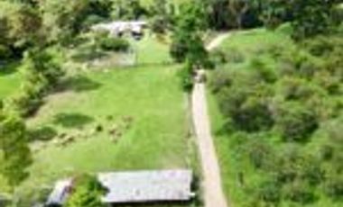 Vendo Finca San Vicente de Chucurí Santander