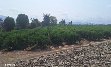 Vendo terreno en Huaral