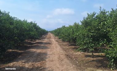 Vendo terreno en Huaral