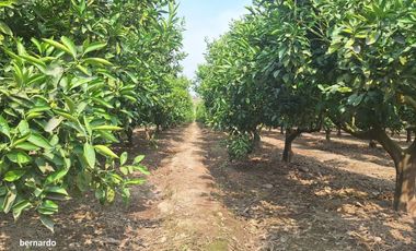 Vendo terreno en Huaral