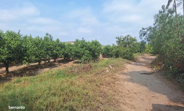 Vendo terreno en Huaral