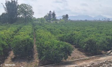 Vendo terreno en Huaral