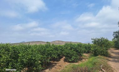 Vendo terreno en Huaral
