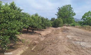 Vendo terreno en Huaral