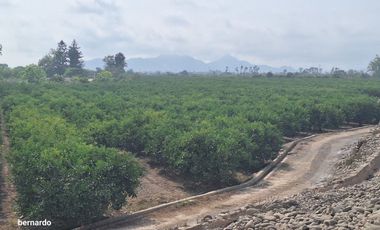 Vendo terreno en Huaral