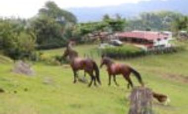 Vendo Finca San Vicente de Chucurí Santander