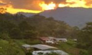 Vendo Finca San Vicente de Chucurí Santander