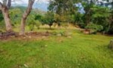 Vendo Finca San Vicente de Chucurí Santander